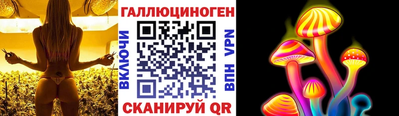 Галлюциногенные грибы Psilocybe  где найти   Бирск 